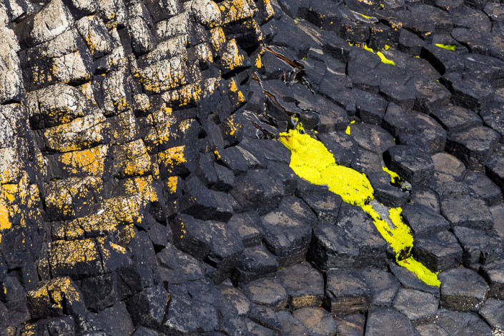 staffa isalnd vulcanic basalt rocks formation texture marco ronconi nature photography basalto isola di staffa scozia marco ronconi fotografo natura